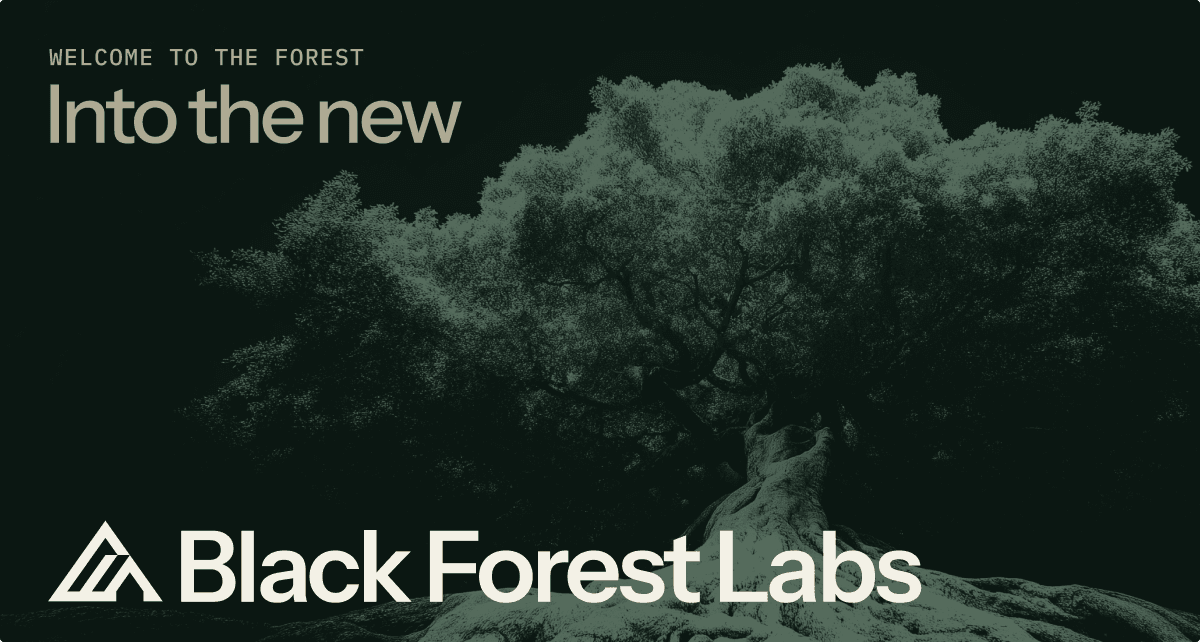 Black Forest Labs Image Generation showing flux - Frontier AI lab behind FLUX