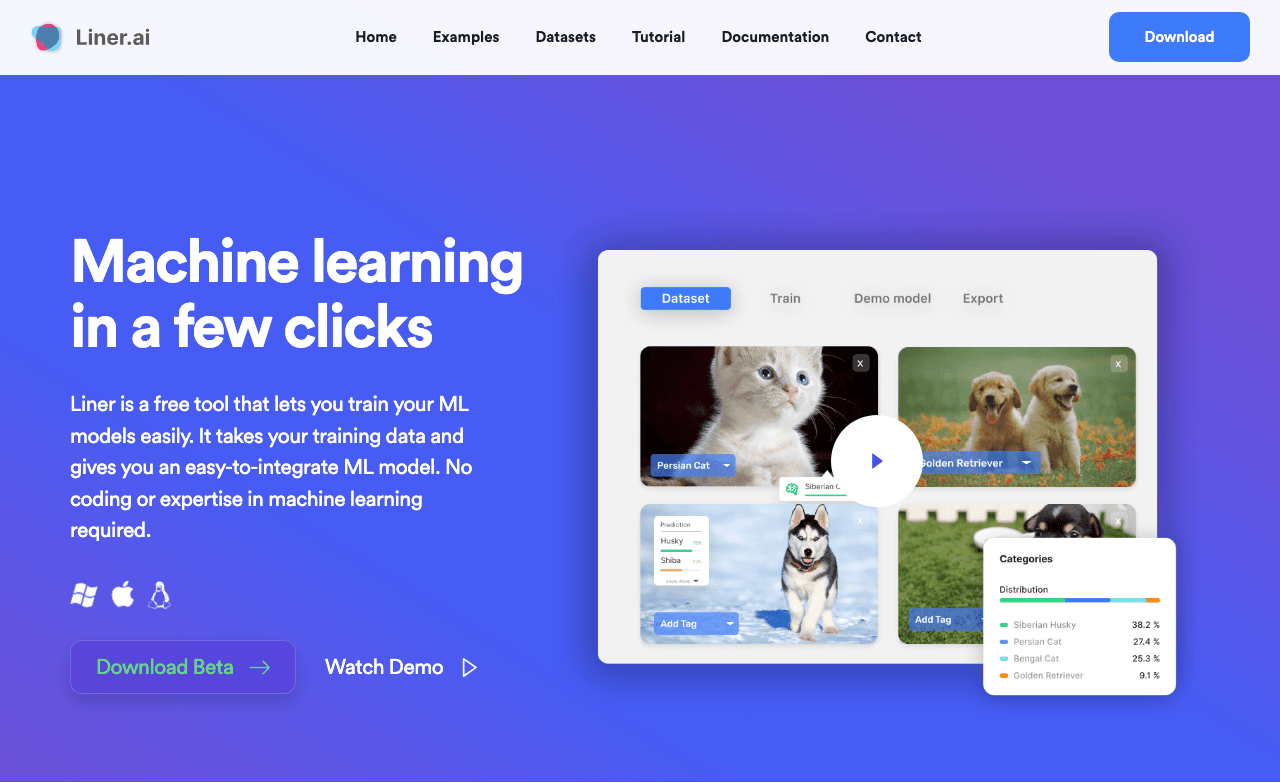 Liner.ai Data Analytics showing Data Analytics - Highlight everything