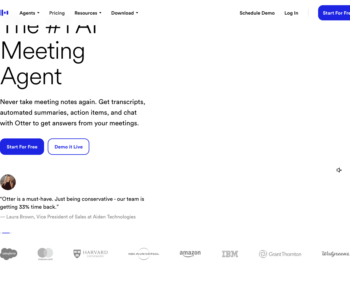 Otter.ai Productivity & Collaboration showing Productivity & Collaboration - AI meeting agent that transcribes, summarizes, a