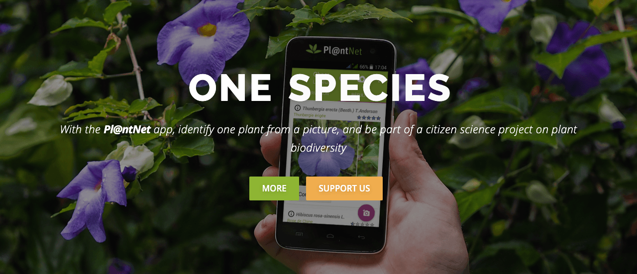 Pl@ntNet Search & Discovery showing Search & Discovery - Explore, discover, protect