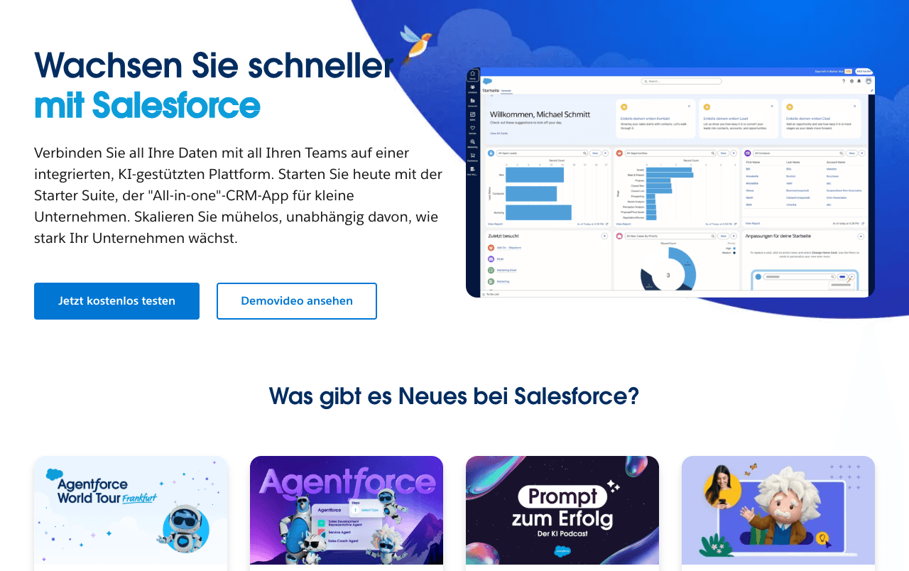 Salesforce Screenshot - AI tool for Customer Service