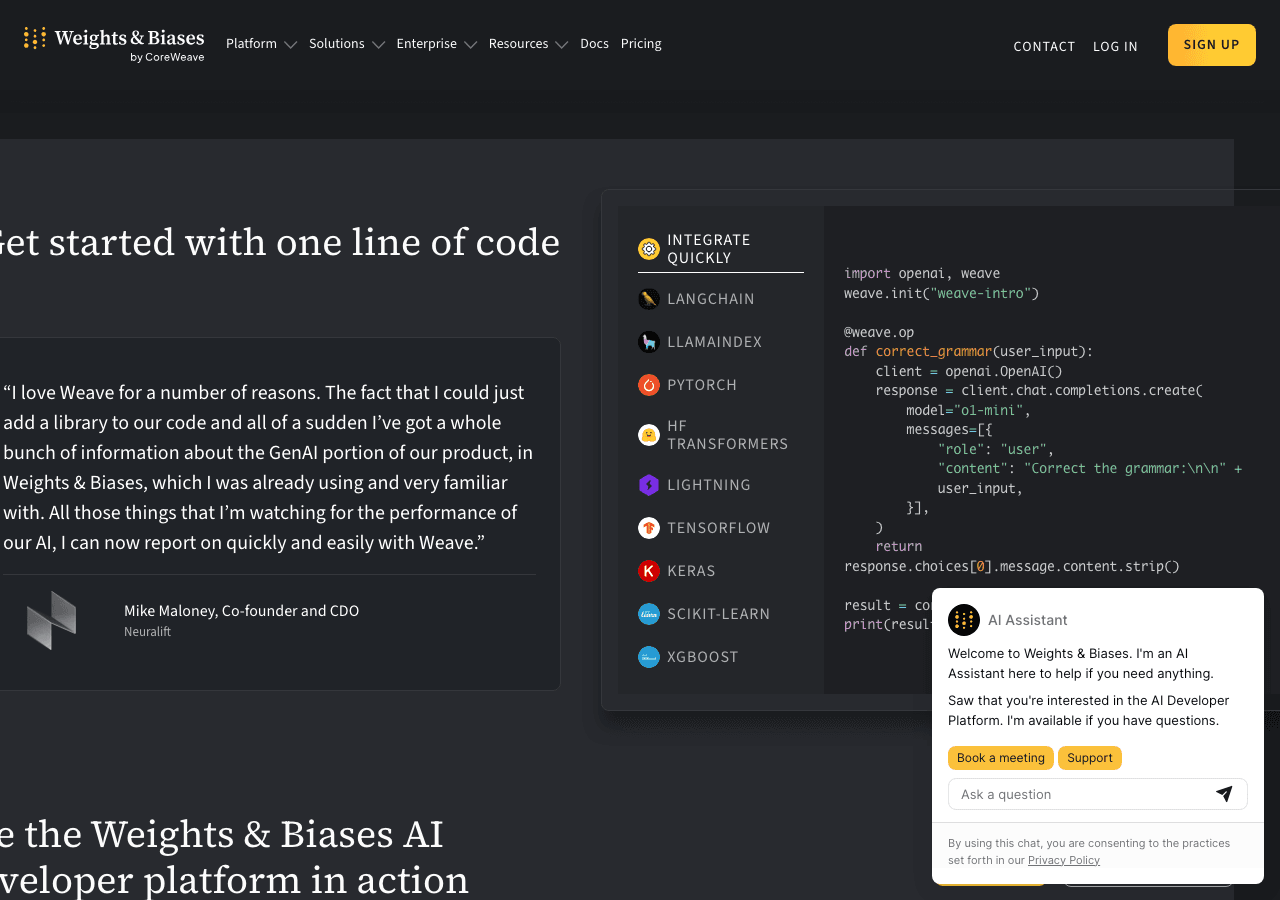 Weights & Biases Data Analytics showing Data Analytics - The AI Developer Platform